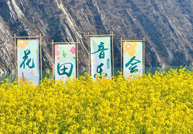 陇上春先至，花田“乐”未央！这场油菜花田音乐会奏响春日浪漫