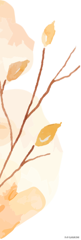 聆听邛崃丨漫步川西竹海秋日仙境