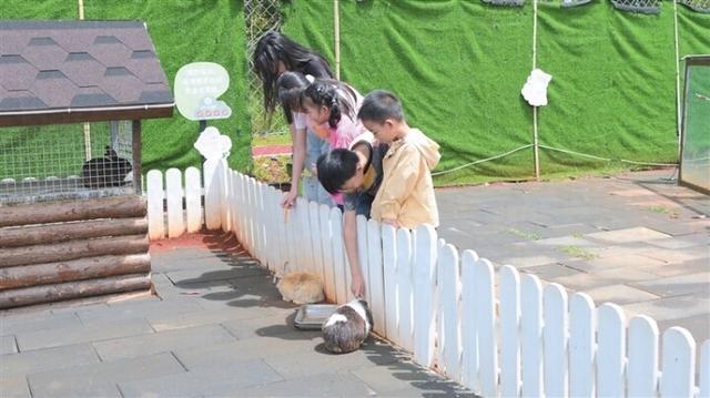 红瓦房郊野牧场 萌宠互动引客来