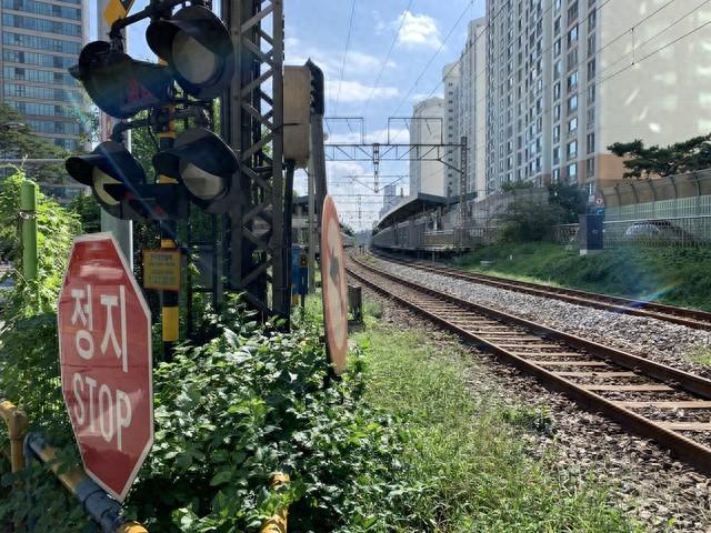 我跟家人在韩国首尔呆了半年，终于明白，为啥大家都来首尔了