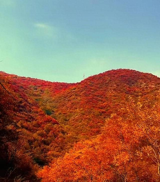 旅游天地 | 深秋里去绛县紫家峪西峪村赏红叶