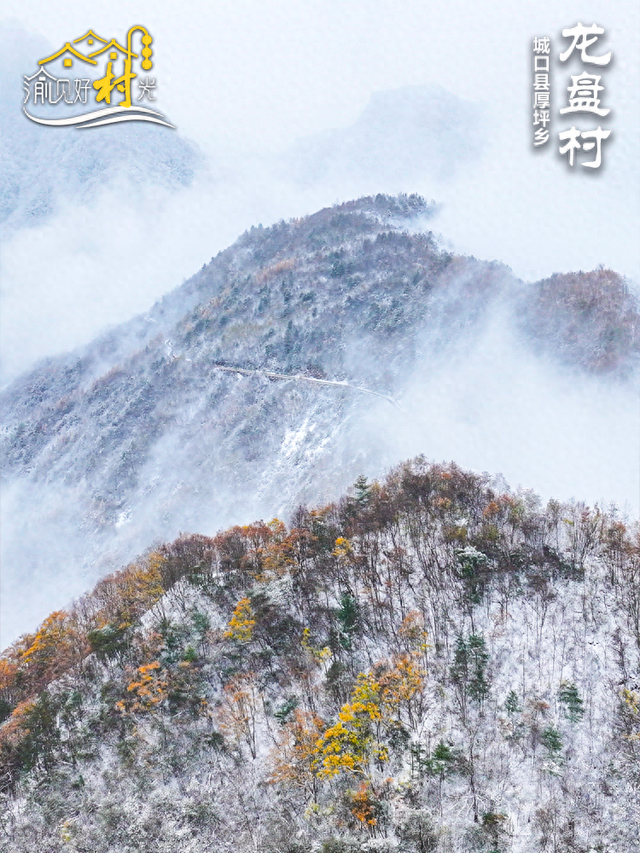 渝见好“村”光 | 城口龙盘村：感受纯净的雪域水墨画，人间值得！