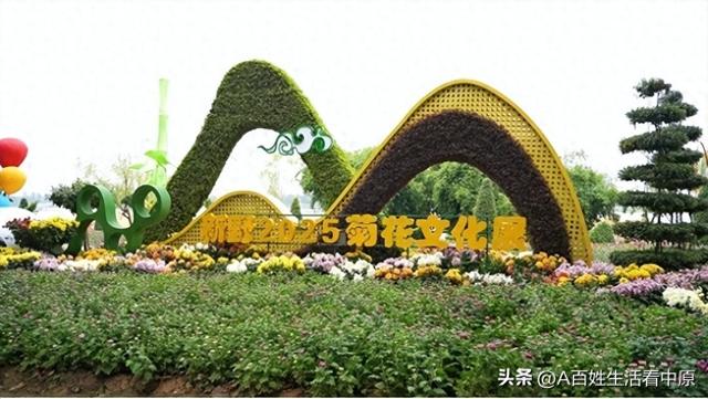 菊香飘满城 新野启新程——2025年新野县菊花文化展开幕