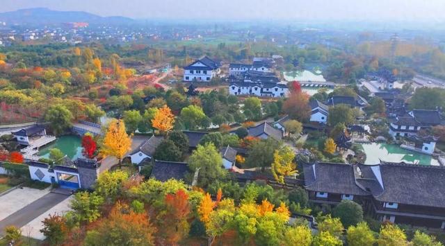 景色怡人！大自然的冬日画作，小城成了树木编织的五彩秘境！