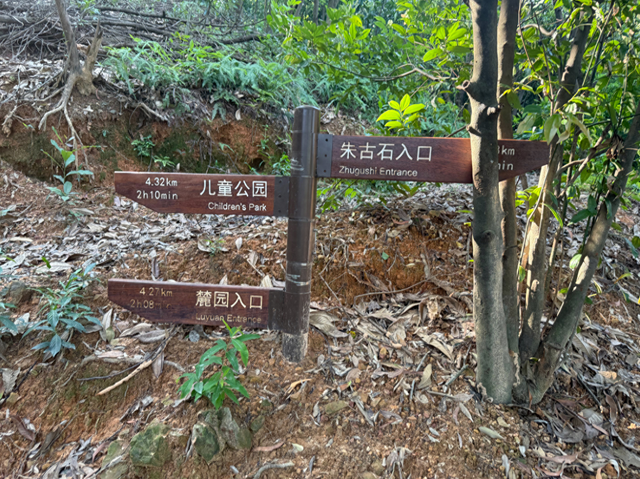 深圳大窝岭→龙岗儿童公园亲子暴走全攻略："野趣+乐园"黄金路线