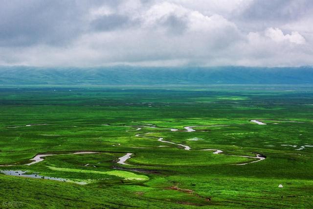 7月-9月适合去看9处的湿地景观，水草丰美，野生动植物繁多