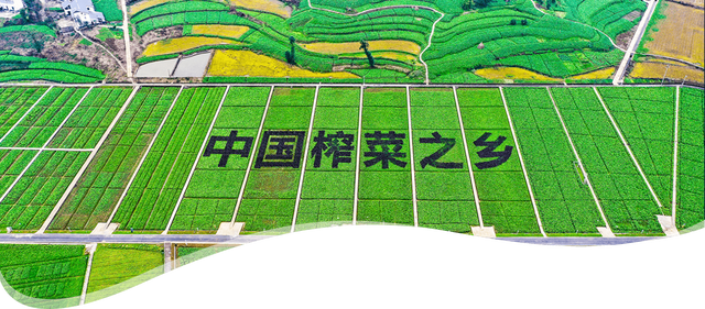 重庆市涪陵区历史沿革及行政区划