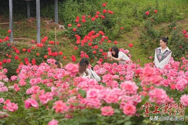 当足球邂逅乡村美景，珠晖区将迎来一场“1+1＞2”的惊喜碰撞！