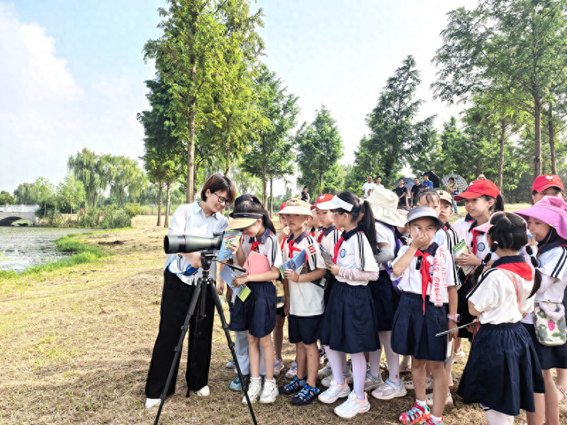 池州：观夏羽精灵 护生态家园
