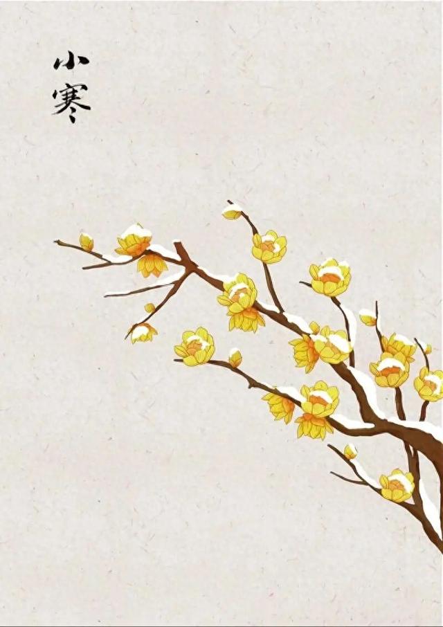 今日小寒是大晴天	，老人说“最怕小寒是晴天”，有什么预兆？