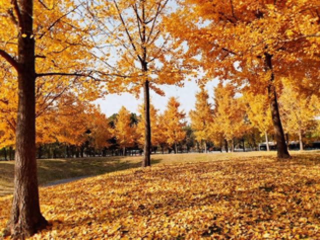 那些免费的幸福：日出、快乐和四季，原来我们已经拥有了所有！