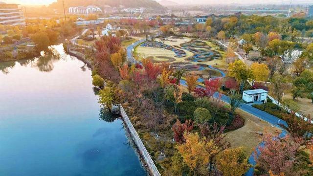 杭州云谷绿芯焕新升级 科创人才走出实验室即入公园