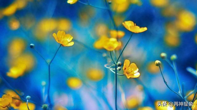 12月8日至12月17日，巨蟹座，星期一，即将发生！