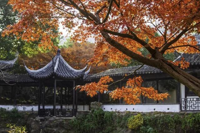 【90号公路】赏秋旅行推荐：江苏-无锡
