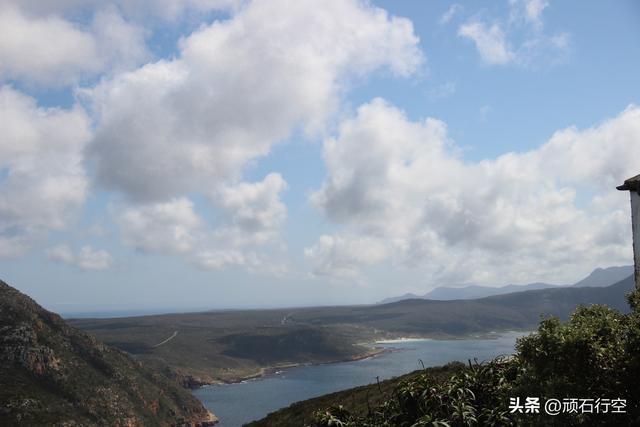 南部非洲：南非开普敦的海豹岛