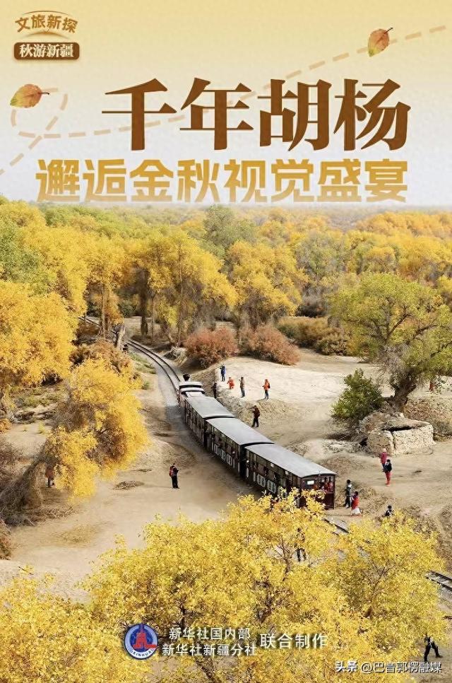 来吧！轮台百万亩原始胡杨林开始披“金衣”，最佳观赏期正在加载中······