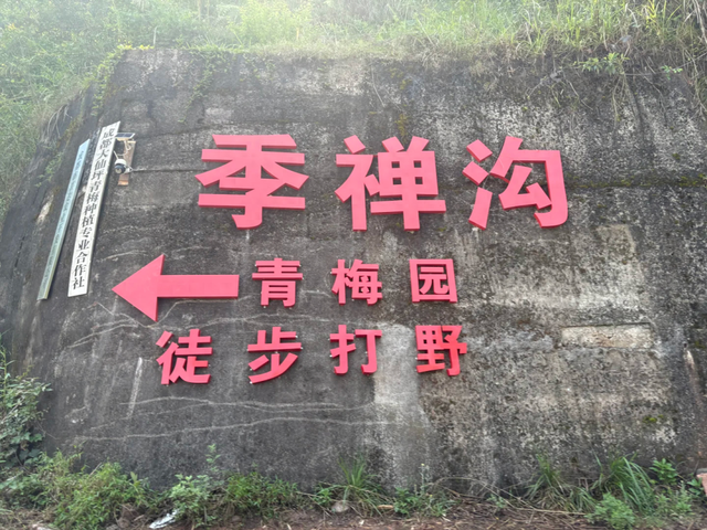 3刷这条野趣十足的徒步路线，成都1.5h可达，冷门清幽！