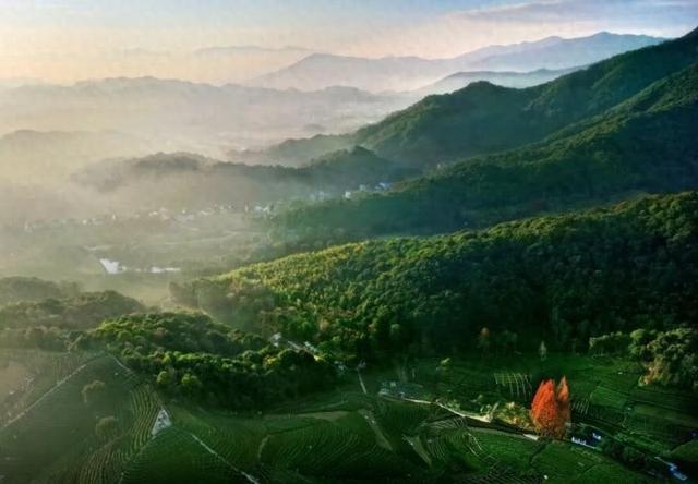 十个勤天做“导游”，带你游杭州