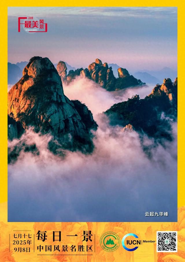 每日一景 | 云起九华峰