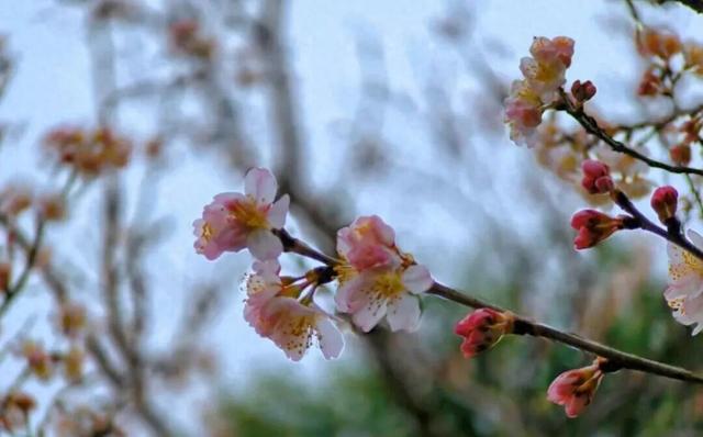 无锡这座大公园，即将爆火！