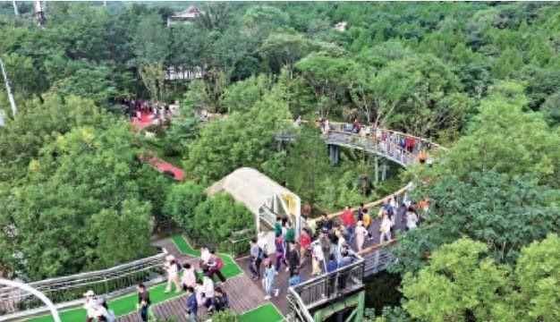千佛山-佛慧山无障碍绿道正式启用 打通6处无障碍断点