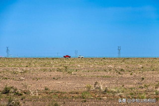 新疆之旅（八）旷野荒坡草未青 凝视碑文泪纵横