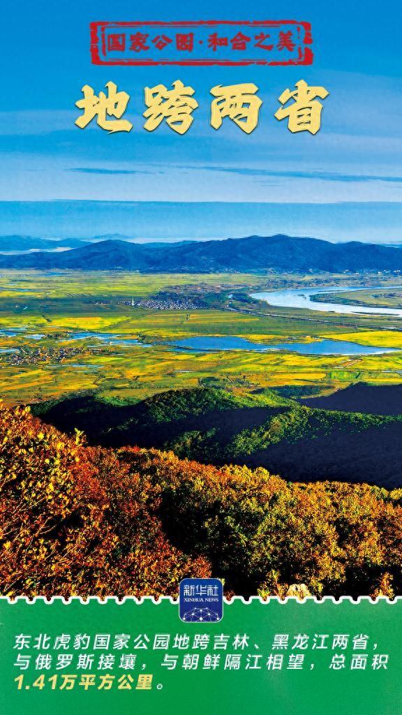 2025年11月15日 第36页