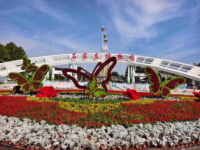 10月1日正式启幕！石家庄市植物园将举办秋季花展