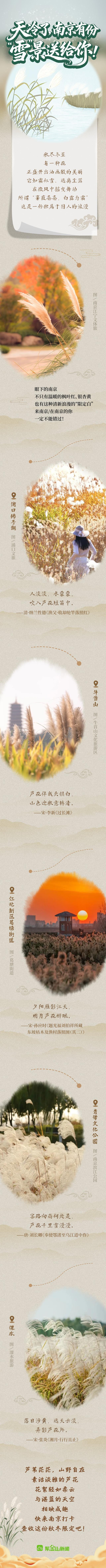 天冷了，南京有份“雪”景送给你！