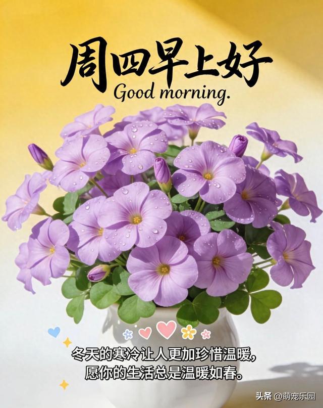 冬日清晨光线钻窗缝	，那份温暖轻抚心房，让光明走进你的世界