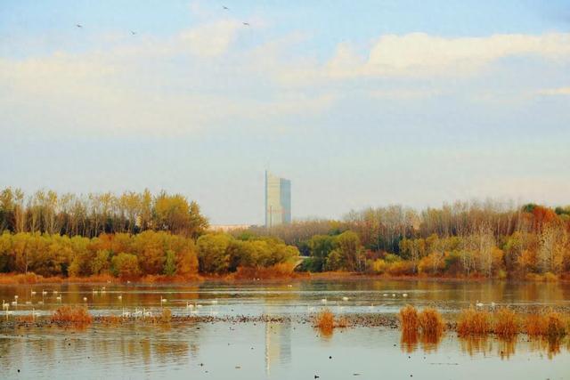 一湖初冬色，半城清欢美——三门峡苍龙湖的冬日盛景