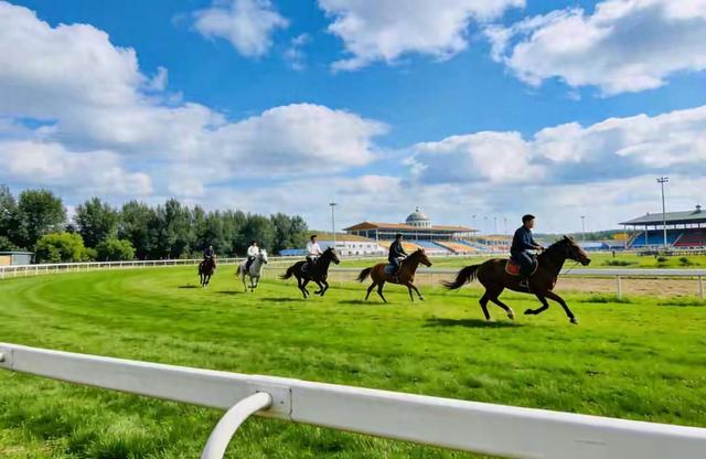 来恩施赛马！总投资1.2个亿！湖北恩施要建马术运动中心！