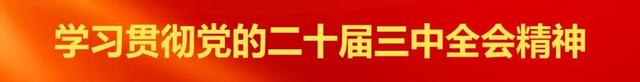 平南大鹏超绝游玩攻略，吃喝玩乐一站式安排！