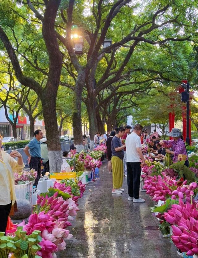 苏州最美的风景是什么？两个故事给你答案