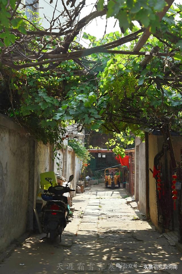 商丘电厂家属院