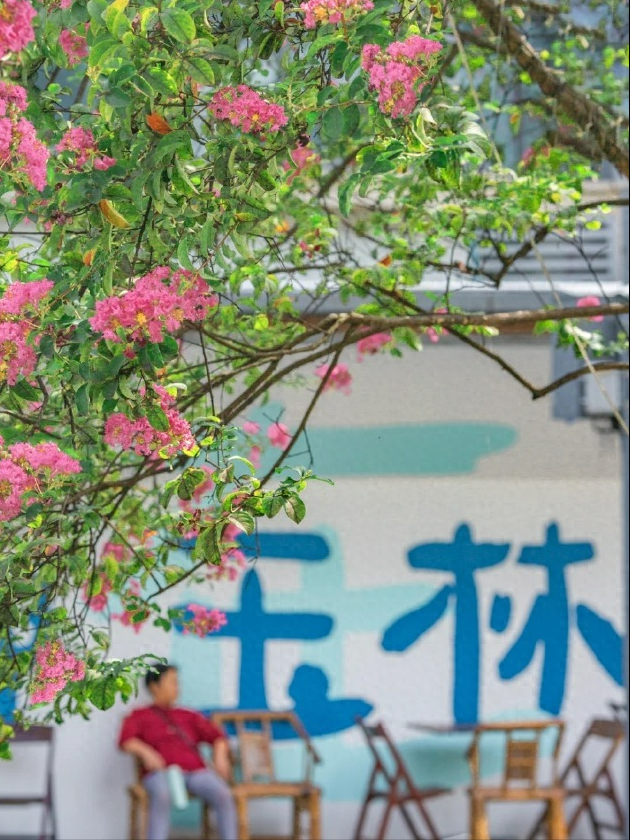 来成都怎么逛？去玉林东路赏紫薇