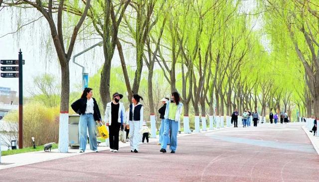 景绘高台春正好 踏青寻芳恰其时