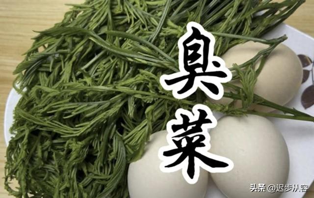 这些名字太好吃了（震惊名字带臭却真香）