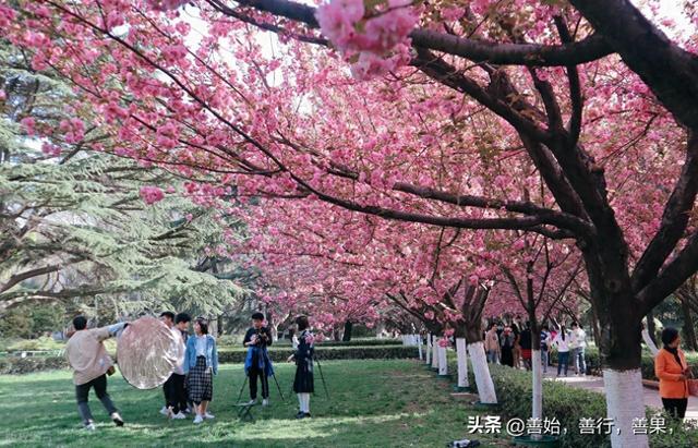 西安周边免费景点推荐（想了解的点赞收藏）