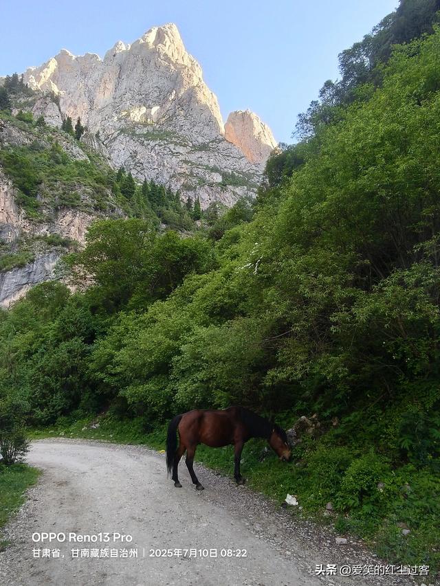 我的旅行日记——扎尕那，藏在云端里的伊甸园