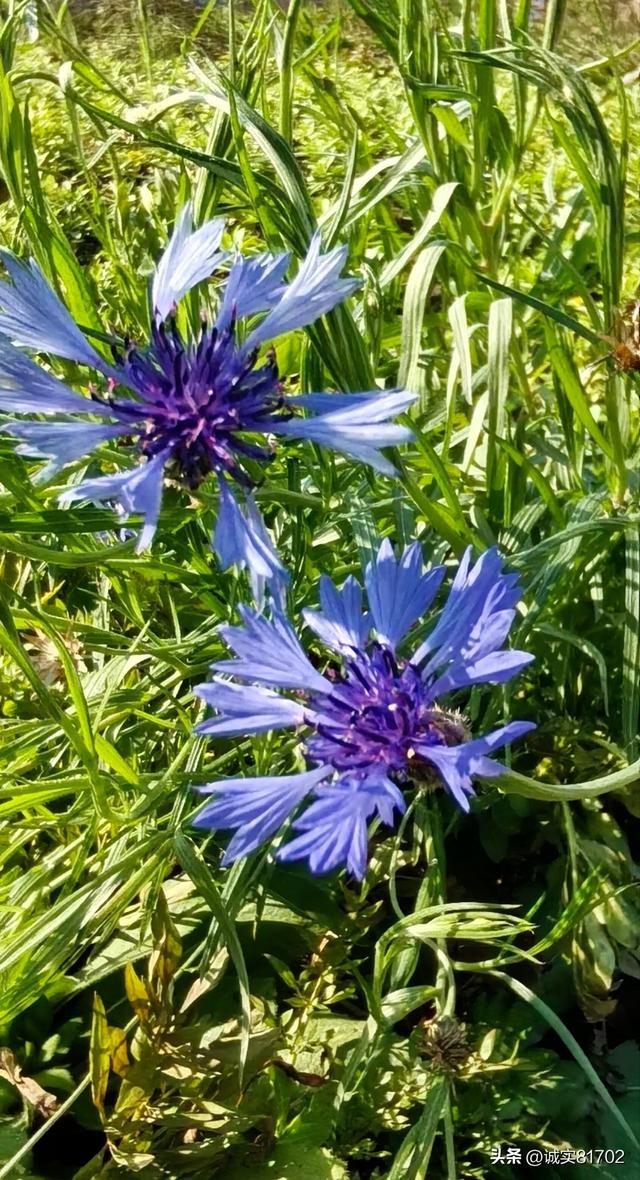 现实版的背信弃义的人	，竟然挖了朋友的墙角