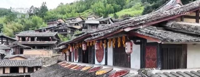 “晒秋”点燃节日氛围 沉浸式古村体验受热捧