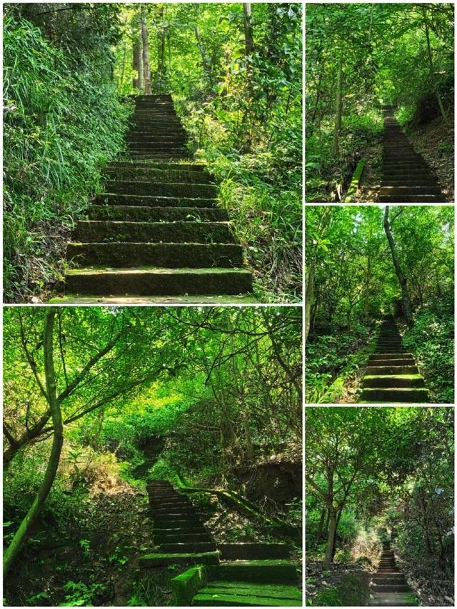 与青城山齐名！成都南门0.5h直达小众古寺，人少景美徒步好去处！
