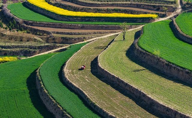 【视觉临汾】山西襄汾：山乡春色 秀美梯田