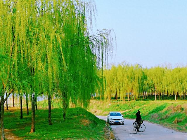 清明踏青最宜的 6 个古寨，适合全家人寻春访古，都清新自在！