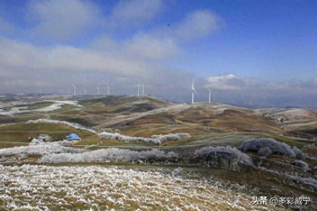 贵州威宁：雾凇覆高原 仙境入画来