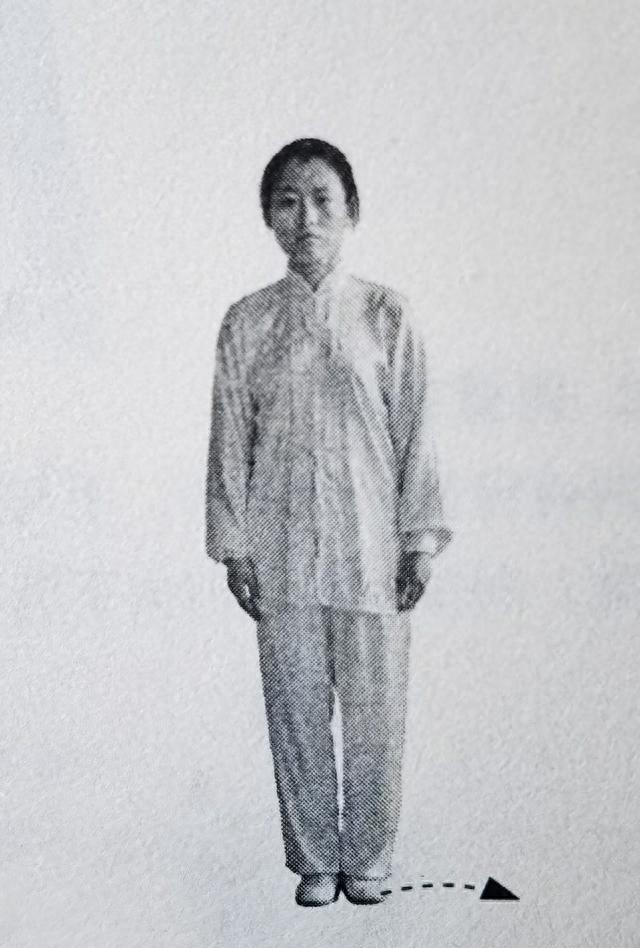 太极拳四要：以正为基，以明为径，以准为核，以顺为境