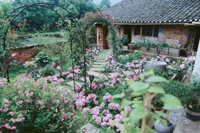 艺术+文化+生态 西部科学城重庆高新区绘就旅居经济新图景