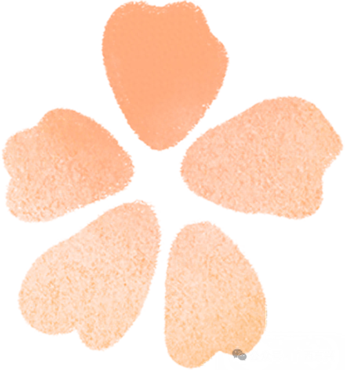 乐享边海人文！东兴暖冬游热力攀升