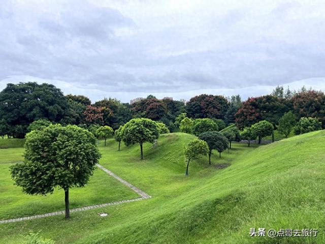 成都公园难得一见的旷野之景，画面超级唯美，地铁公交到达！